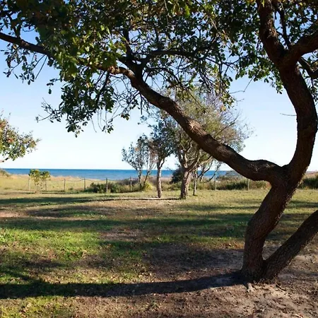 Delightful At Moriani-plage With Garden 别墅 圣尼科劳