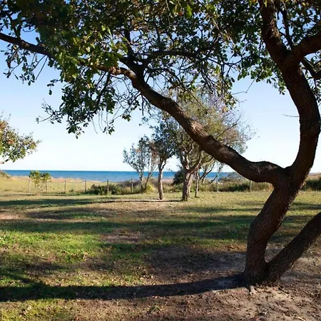 Delightful At Moriani-plage With Garden 别墅 圣尼科劳
