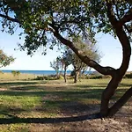 Delightful At Moriani-plage With Garden 别墅 圣尼科劳