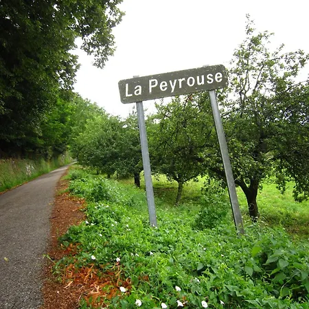 Delightful At Moriani-plage With Garden Villa