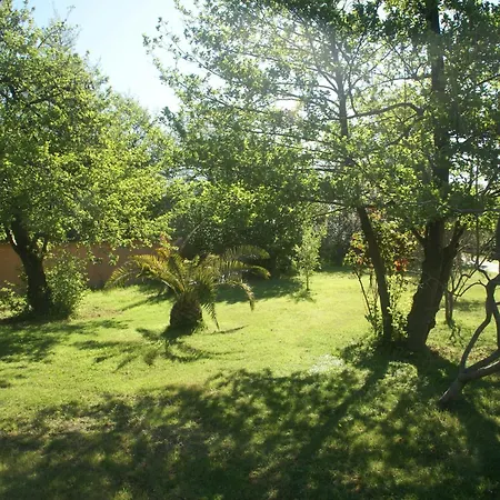 Delightful At Moriani-plage With Garden Villa