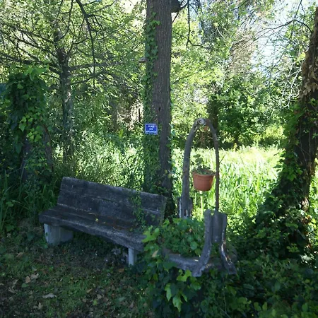 Delightful At Moriani-plage With Garden Villa *