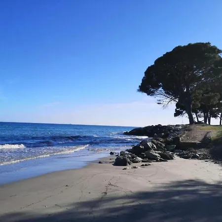 别墅 Delightful At Moriani-plage With Garden *
