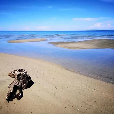 Villa Delightful At Moriani-plage With Garden