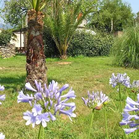 Villa Delightful At Moriani-plage With Garden