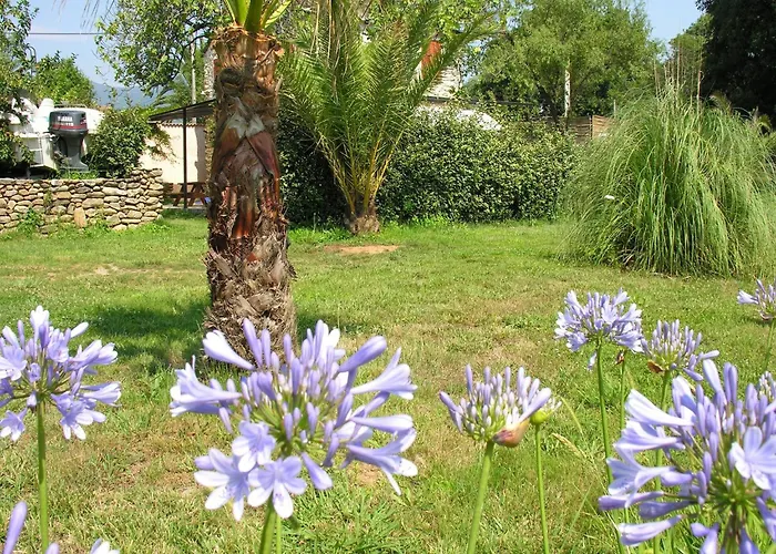 Vila Delightful At Moriani-plage With Garden